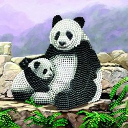 CCK-A44-Panda-Family-actual-photo-high-res-300x300-1642686818.jpg