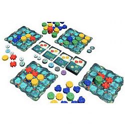 bordspellen-reef-1-500x500-1623319001.jpg